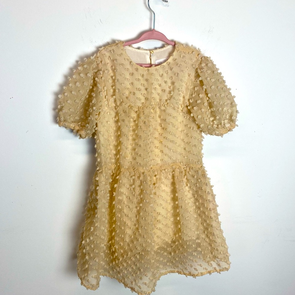 Zara Girls Dress